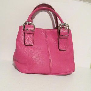 Tignanello Perfect 10 French Tote